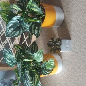 Set Of Fake House Plants